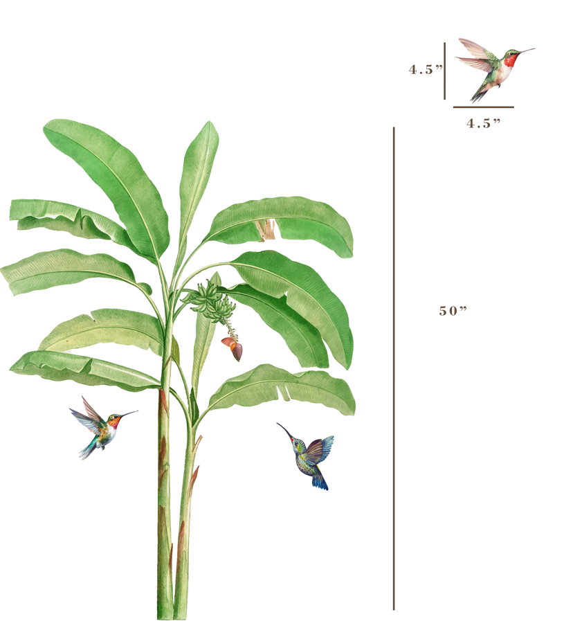 Humming Bird Paradise